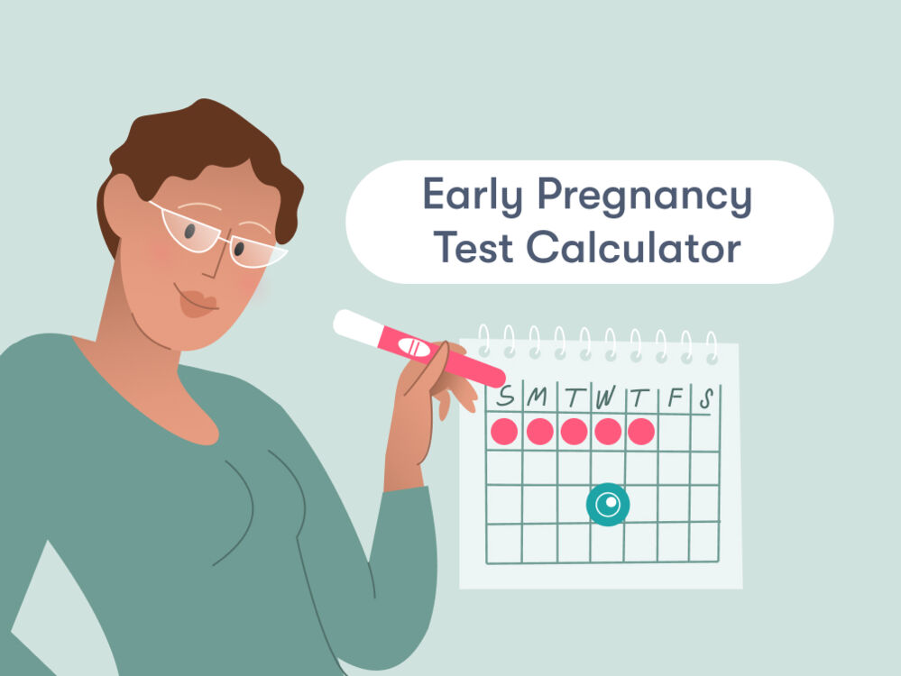 When To Take A Pregnancy Test Calculator - Flo